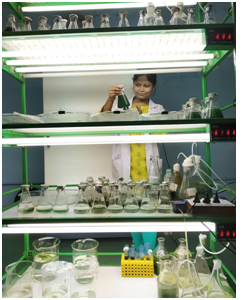 Renewable Energy & Bio TechnologySection